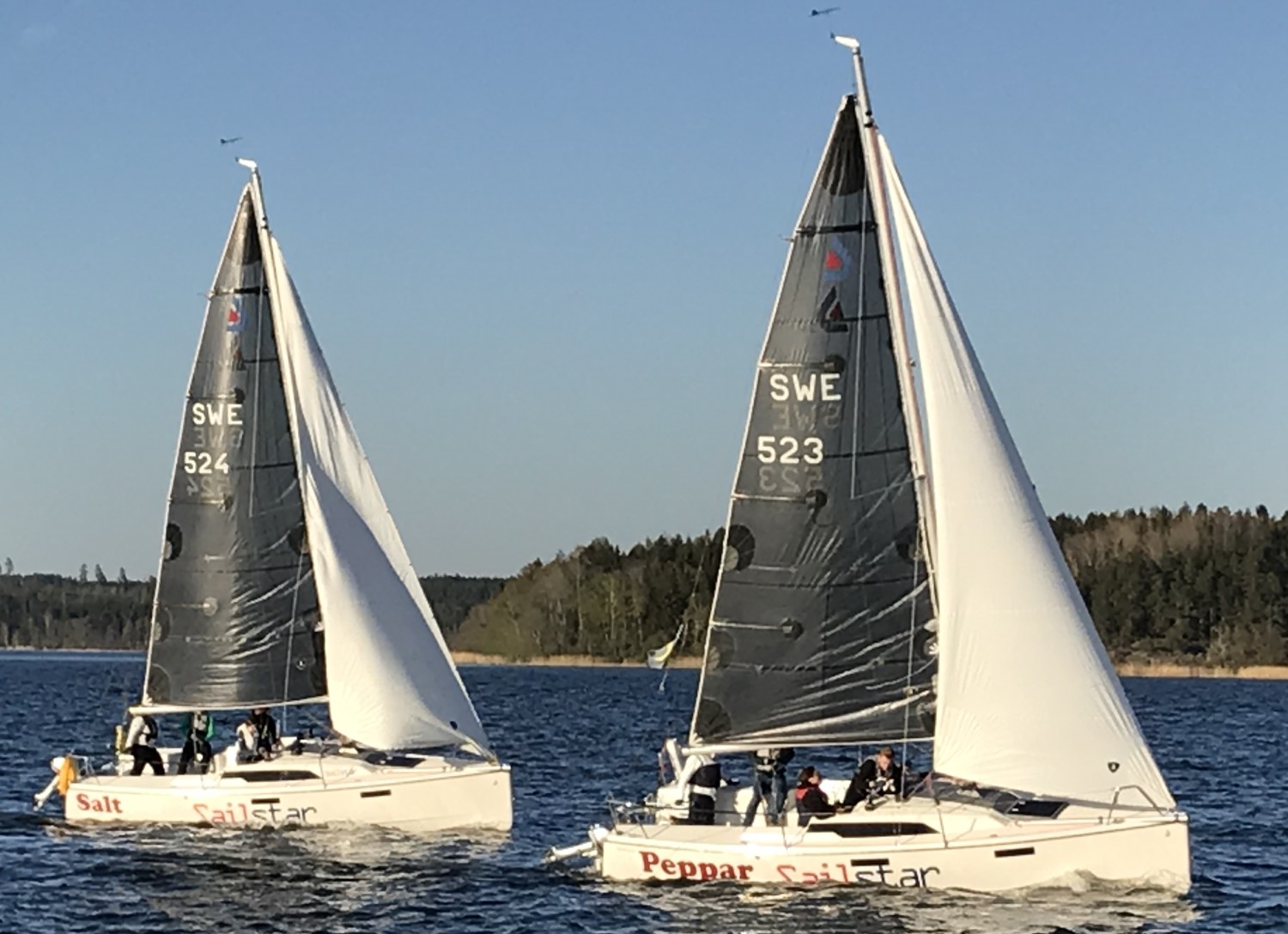 Kurser Sverige